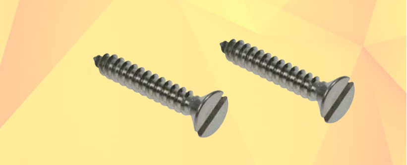 MS CSK Slotted Machine Screw Manufacturers