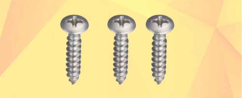MS Pan Philips Self Tapping Screw Manufacturers