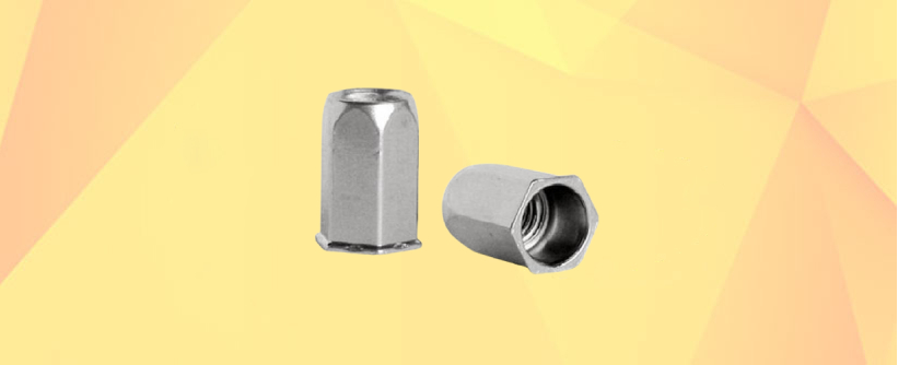MS Small Head Rivet Nut Manufacturers