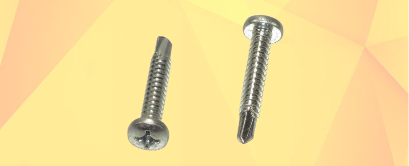 SS Pan Philips Self Tapping Screw Manufacturers