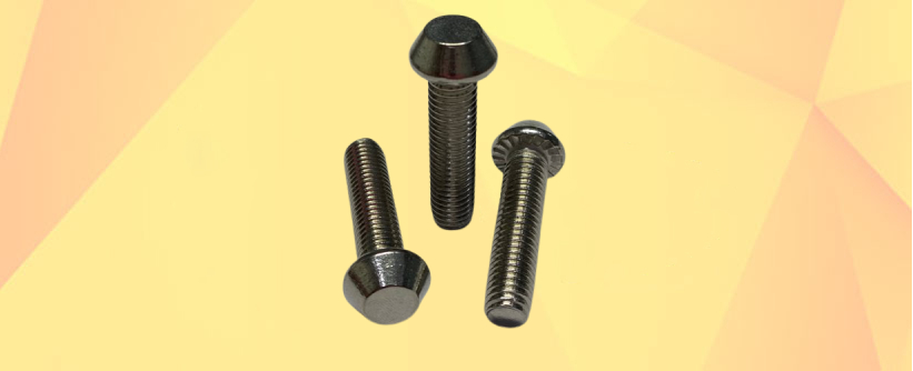 Stainless Steel Anti Theft Bolt Manufacturers