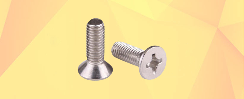 Stainless Steel CSK Philips Machine Screw Manufacturers