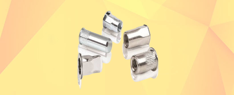 Stainless Steel Insert Nut Manufacturers