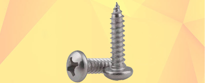 Stainless Steel Pan Slotted Self Tapping Screw Manufacturers