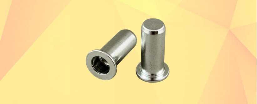 Stainless Steel Rivet Nut Manufacturers
